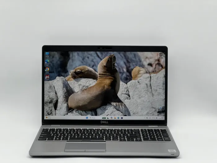 Ноутбук Dell Latitude 5510, i5-10310U, 16 GB, 512 GB, Intel UHD Graphics, 1920x1080, IPS [SH2506832] БУ - изображение 1