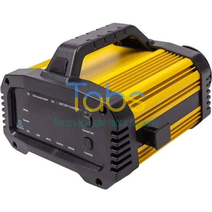 Зардний пристрій для LiFePO4 акумуляторів 12V 25A, 24V 15A - зображення 1