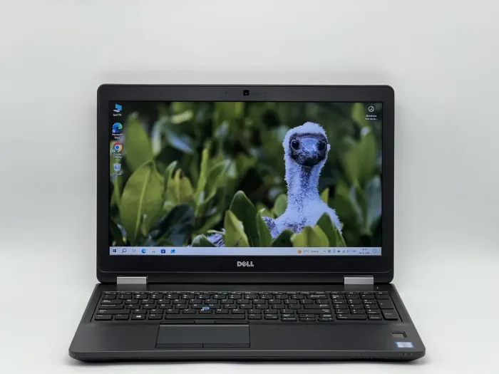 Ноутбук Dell Latitude E5570, i5-6300U, 8 GB, 240 GB, Intel HD Graphics 520, 1366x768, TN [SH2604549] БУ - изображение 1