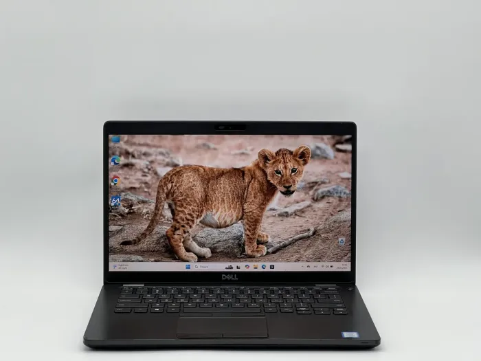 Ноутбук Dell Latitude 5400, i5-8365U, 16 GB, 480 GB, Intel UHD 620, 1920x1080, IPS [SH2504581] БУ - зображення 1